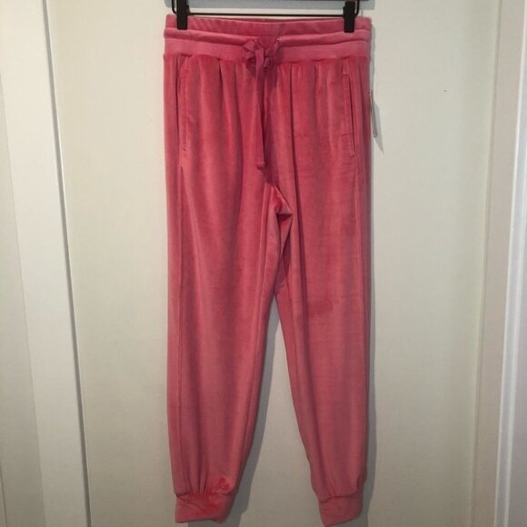 ANTHROPOLOGIE Merida Velvet Drawstring Joggers - Picture 4 of 12
